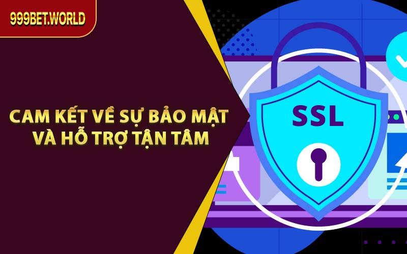 Cam Kết Về Sự Bảo Mật Và Hỗ Trợ Tận Tâm