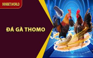 Đá Gà Thomo