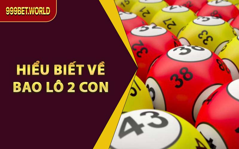 Hiểu Biết Về Bao Lô 2 Con