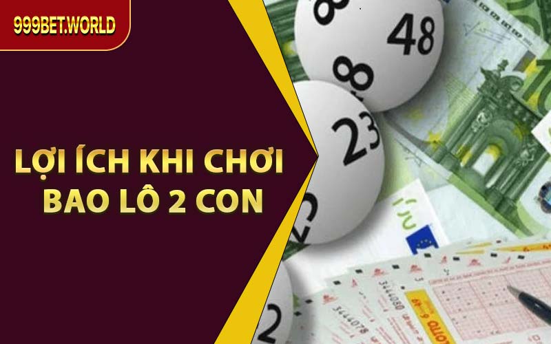 Lợi Ích Khi Chơi Bao Lô 2 Con