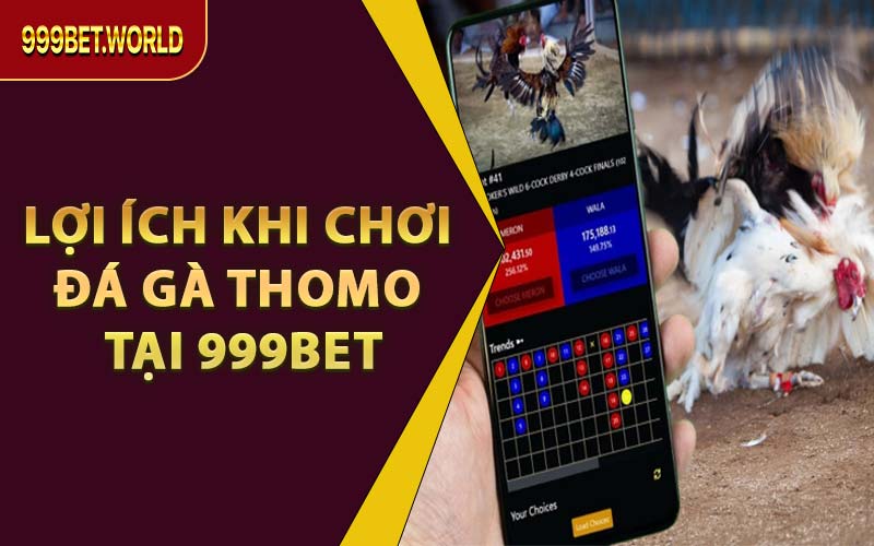 Lợi Ích Khi Chơi Đá Gà Thomo Tại 999BET