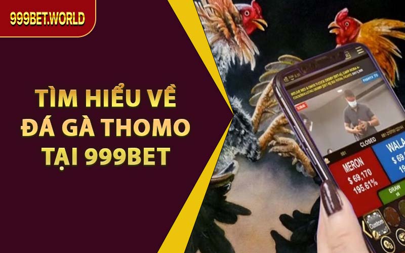 Tìm Hiểu Về Đá Gà Thomo Tại 999BET